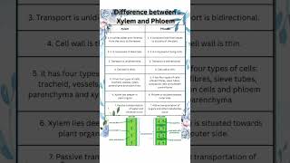 #difference between Xylem and Phloem