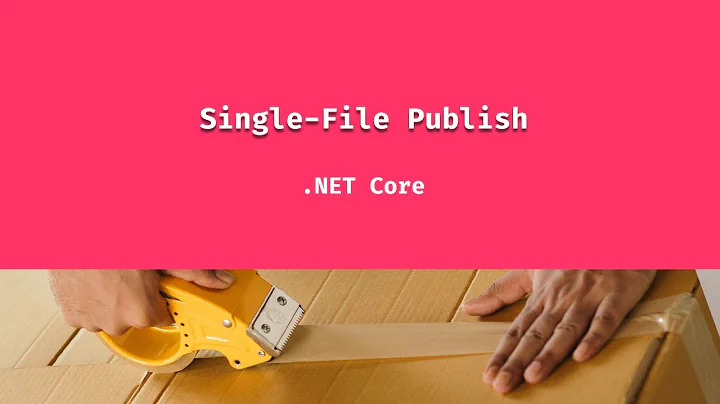 Single File Publish in .NET Core