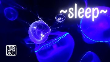 432Hz BIV, QUICK FALL ASLEEP ✨MUSIC 24/7 with bioluminescent🪼Jellyfish.