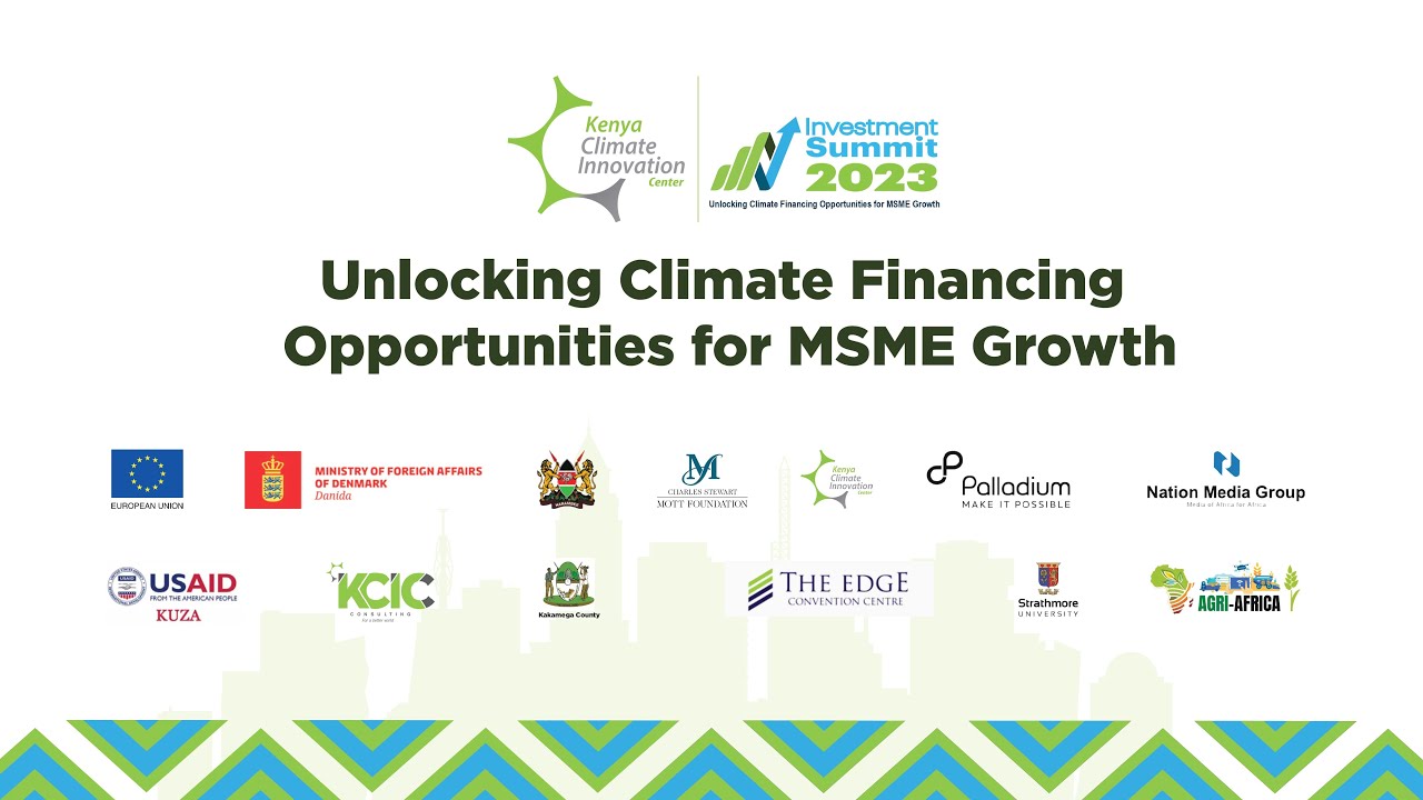 Investment Summit 2023. Unlocking Climate Financing Opportunities for MSME Growth Day 2