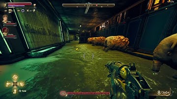 The Outer Worlds_cysty pigs