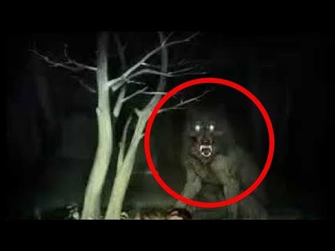 Video: The British Are Going To Hunt A Werewolf - Alternative View