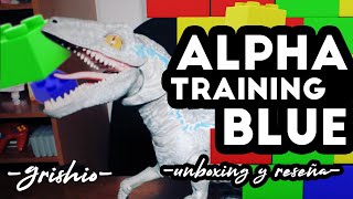 Alpha Training Blue Unboxing Reseña Grishio
