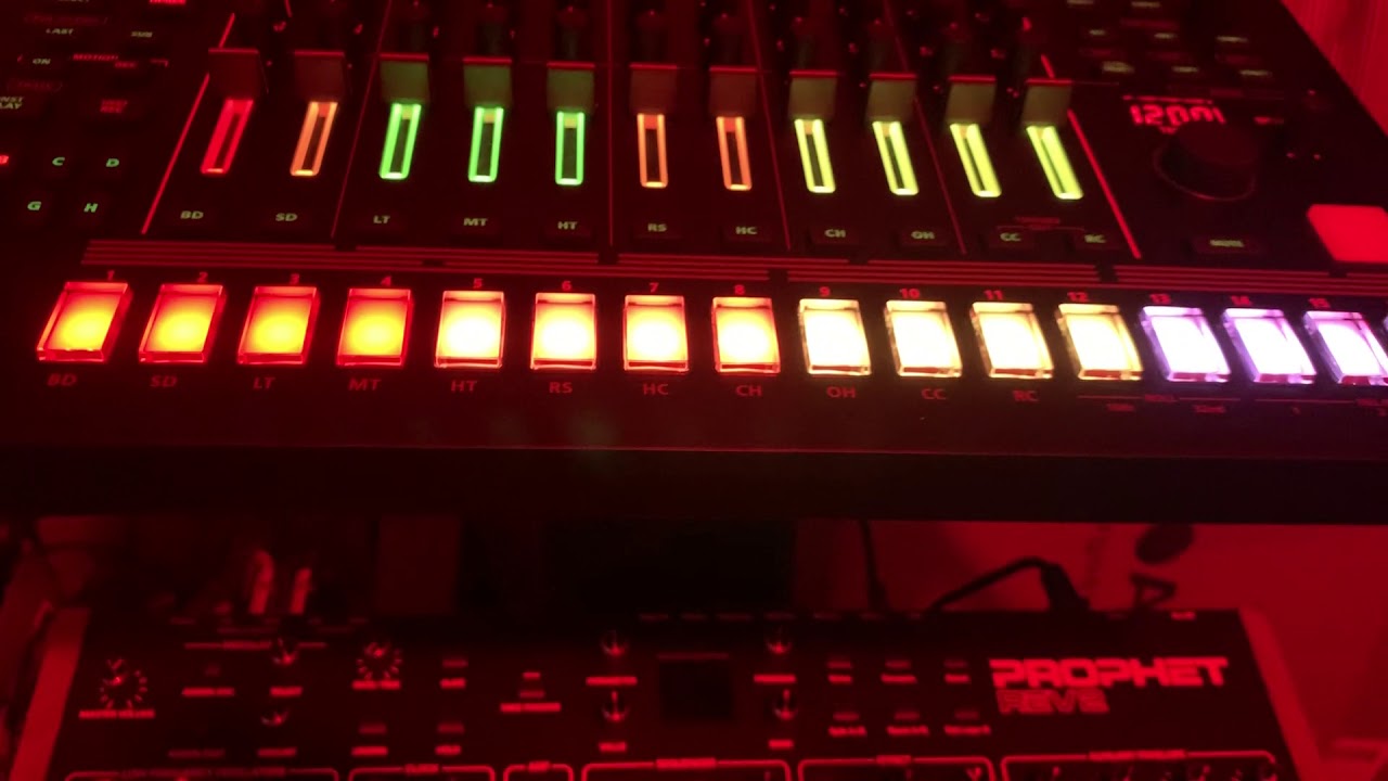 Crackhouse Studios Detroit. (50 dollar house)