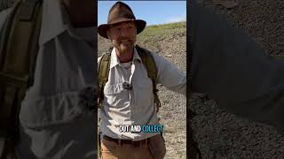 From the ground to Displays Fossils and Pokemon