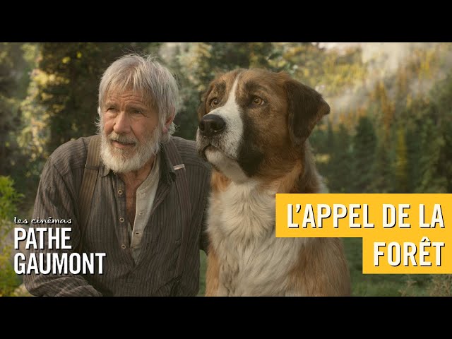 L'Appel de la Forêt, Bande-Annonce