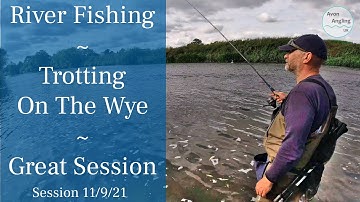 River Wye Fishing - Stick Float Long Trotting For Chub - Great Session  - 11/9/21 (Video 273)