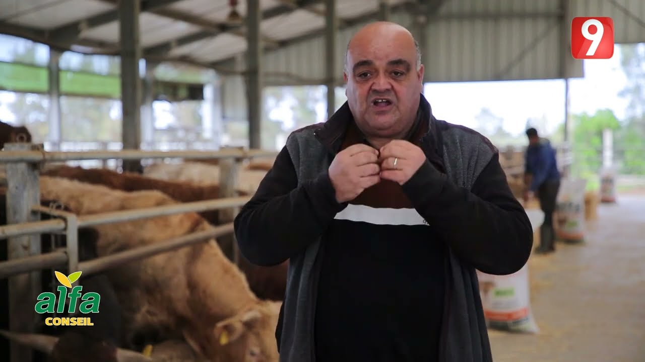 السانية S02 EP30 P03