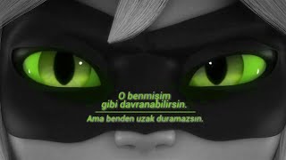 chat noir || animals (türkçe çeviri )