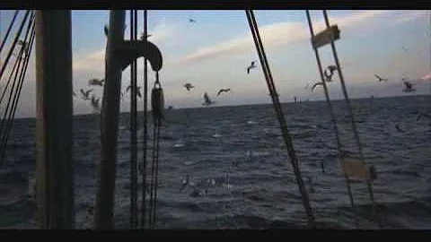 Jonathan Livingston Seagull - Be