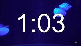 5 Minute lofi hip hop relaxing jellyfish timer escape.