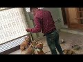 Best dog trainer in bhatinda mohan pal 7508699511