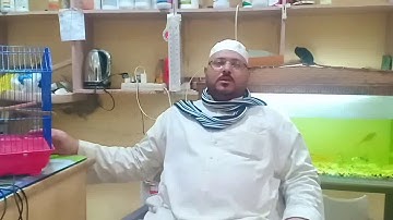 ابتهال روعه في مدح رسول الله صلى الله عليه وسلم لقارئ الشباب فضيلة الشيخ محمد ابراهيم عبدالحق