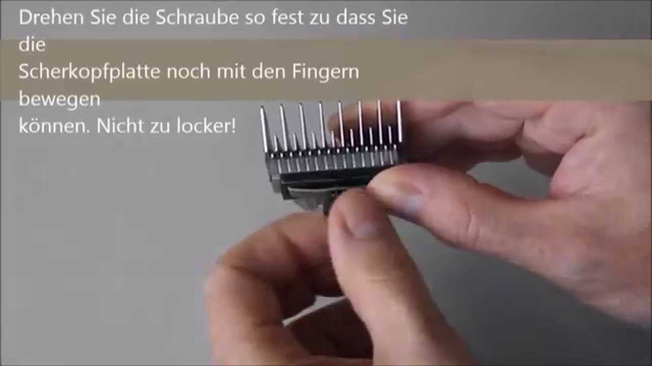 Aesculap Schneidekopf GT730 – 0,5 Mm Für Profi-Schermaschinen | 1 Stück