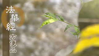 【靜思妙蓮華】法華經方便品 - 清淨涅槃 圓融無礙 - 20200403 第231集