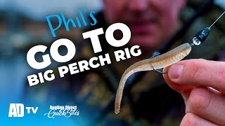 Target BIG PERCH - The Texas Rig In Detail  - Predator Fishing Quickbite