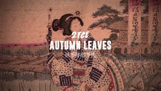 2FCE - Autumn Leaves (Instrumental)