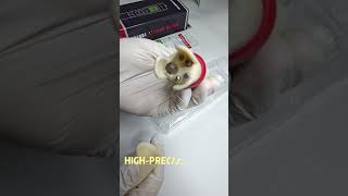 Precision 4-in-1 Meter for TDS, EC, pH, and Temperature