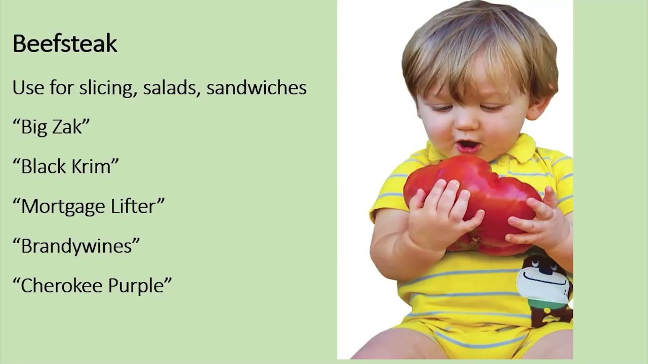 Growing Tomatoes: Transplanting & Planting with OSU Master Gardeners