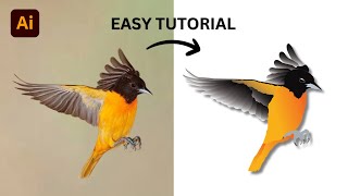 Adobe Illustrator Tutorial - How to Create Oriole Bird Fly Vector Illustration