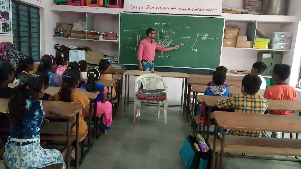 Parts of Flower (Gujarati) YouTube