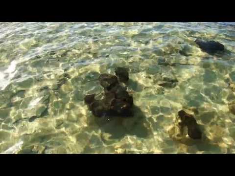 Stromatolites, Hamelin Pool, Shark Bay, Western Australia