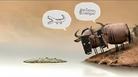 Never Argue With Stupid People 😂 | Comedy Buffalo Animation Video