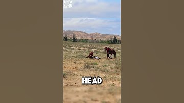 Top 5 eagle attacks caught on camera 🔥🥶 #eagles #coldmoments #attack