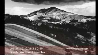 Brett Weston Photographs - Auction Highlights