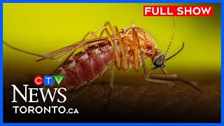 First human case of West Nile Virus in GTA | CTV News Toronto Noon for July 30, 2026