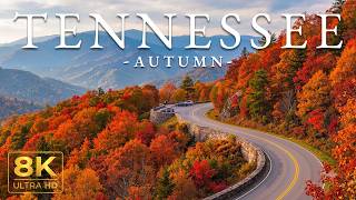 Tennessee Autumn 8K 🍁 – Great Smoky Mountains Cades Cove Valleys & Fiery Maples UHD