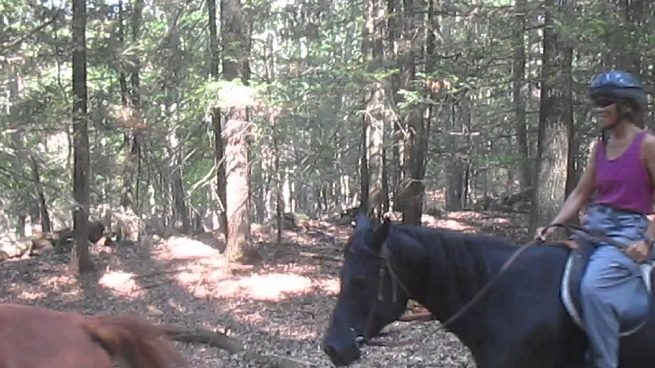 Ashokan Riding Club Marci & Jennifer YouTube