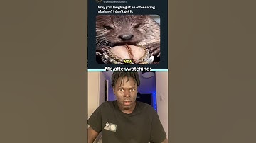 #funny #memes #duet #funny