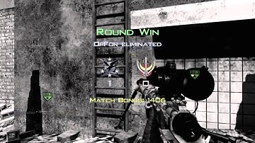 AMAZING BARREL ROLL LADDERSTALL