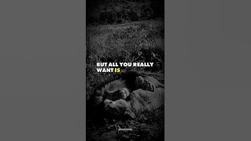 Stop Comparing Yourself | Powerful Life Advice #motivation #lifelessons #quotes #motivational