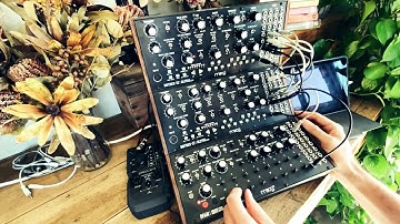 Another improv jam with 2x Moog Mother 32 + DFAM