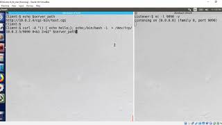 Shellshock (Part 2)