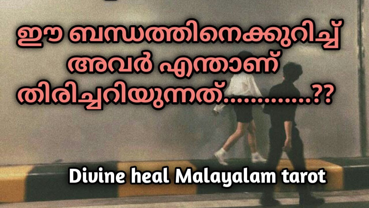 ഈ ബന്ധത്തേക്കുറിച്ച് അവരെന്താണ് തിരിച്ചറിയുന്നത് ✨🌞 Divineheal Malayalam Tarotreading ✨🌞