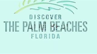 Start Your Own Beach Adventure in Paradise Today