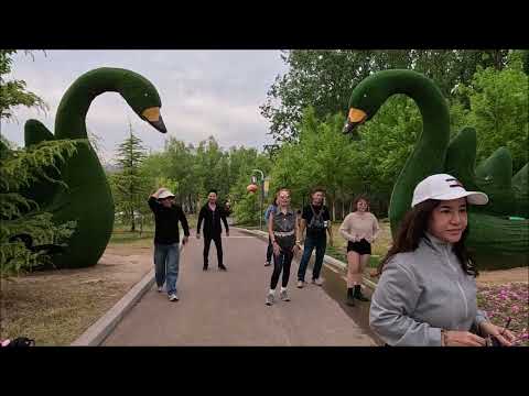 中國西安之旅@三門峽天鵝湖濕地公園