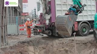 Nationale Bomenbank Grondzuigen Bij Bomen