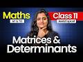 Matrices - Class 11 Maths | AP &amp; TS Class 11 | JEE &amp; EAPCET 2027 | Vedantu Telugu