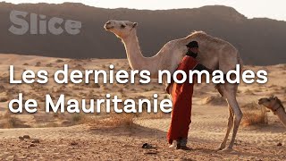 Les derniers pasteurs nomades de l'Adrar | SLICE