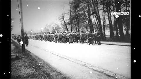 Book review WeVideo Auschwits Jamieson