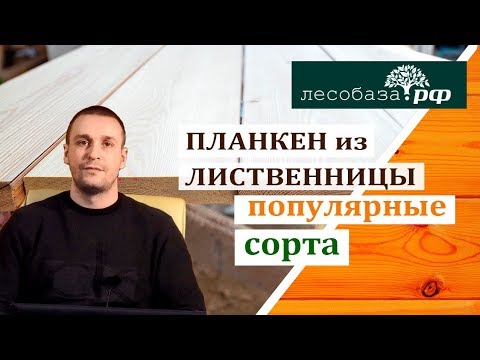 Планкен из лиственницы. Популярные сорта