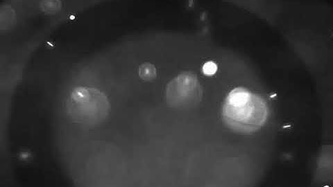 Electrothermal flow on an electrochemical biosensor