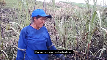 Como se chama quem trabalha com cana-de-açúcar?