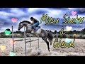 [ASTUCES] MIEUX SAUTER A CHEVAL  - J'adore le CSO