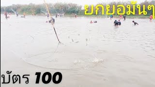 #ยกยอ มันๆ  บัตร 100 หนองไคร้บ้านสันนา แม่สาย ปลาบินได้  10 เมษายน ค.ศ. 2024