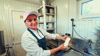 видео: Можно ли сделать сыр Косичка, Моцареллу, Сулугуни, Качокавалло  из козьего молока? / Вытяжные сыры картинка: Можно ли сделать сыр Косичка, Моцареллу, Сулугуни, Качокавалло  из козьего молока? / Вытяжные сыры